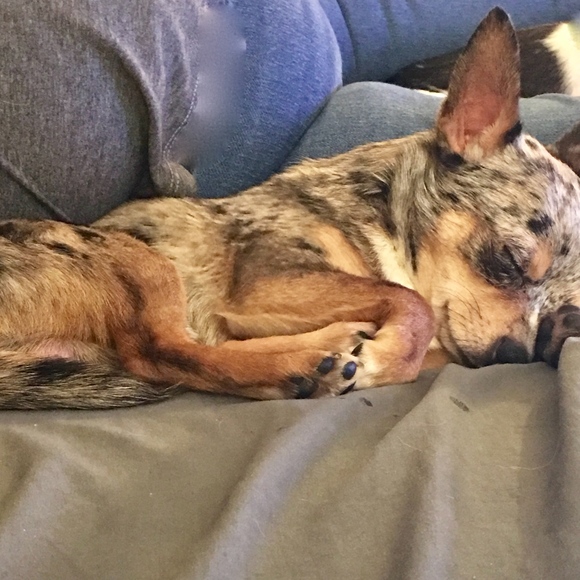 Meet your Posher, Ashley - Picture 4 of 6